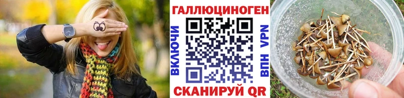 хочу наркоту  Таруса  Псилоцибиновые грибы Psilocybe 